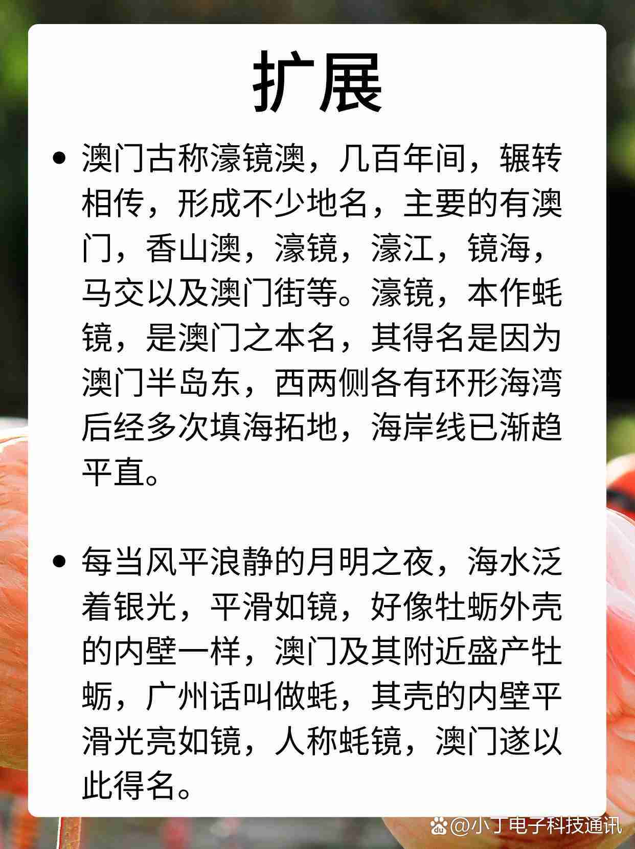 澳门正版资料大全免费更新