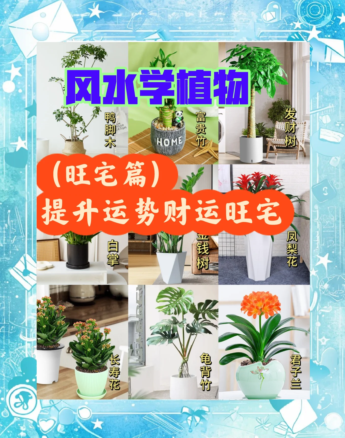 农村院子如何聚财