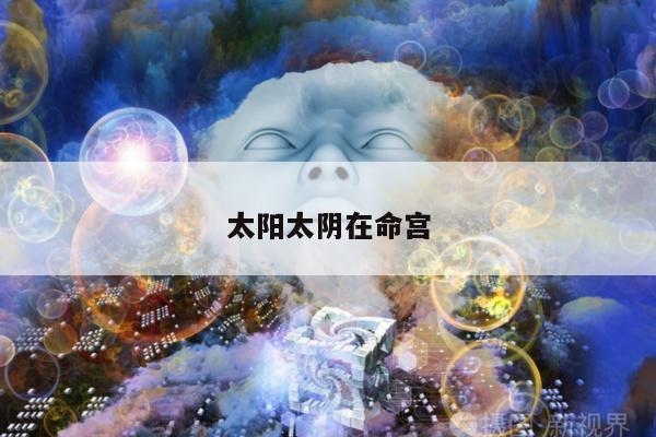 太阳太阴在命宫