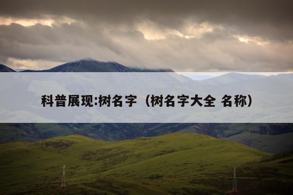 科普展现:树名字（树名字大全 名称）