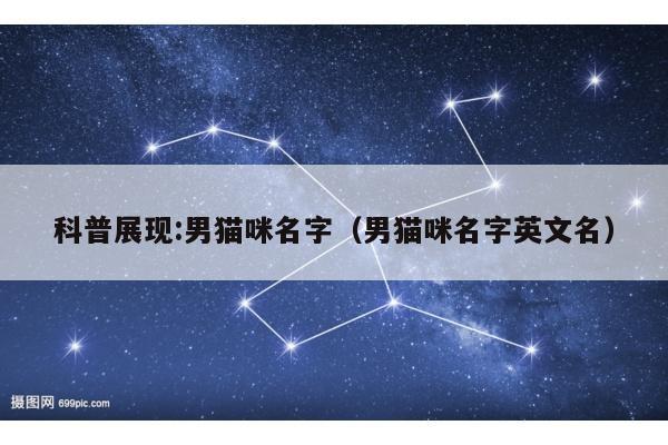 科普展现:男猫咪名字（男猫咪名字英文名）