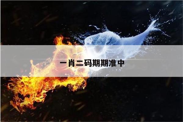 一肖二码期期准中