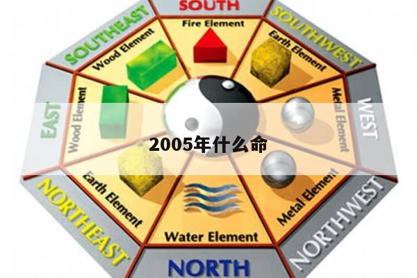 2005年什么命