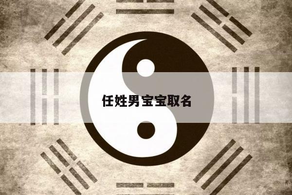 任姓男宝宝取名