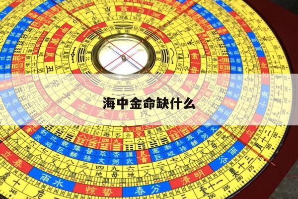 海中金命缺什么