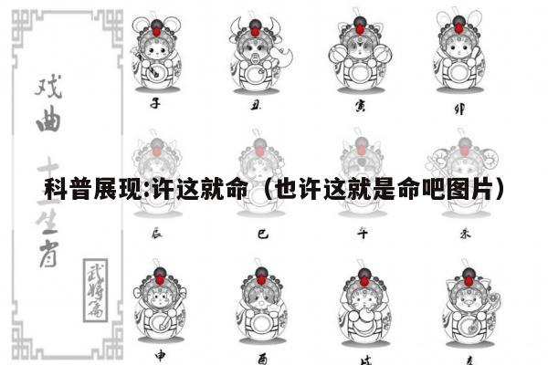 科普展现:许这就命（也许这就是命吧图片）