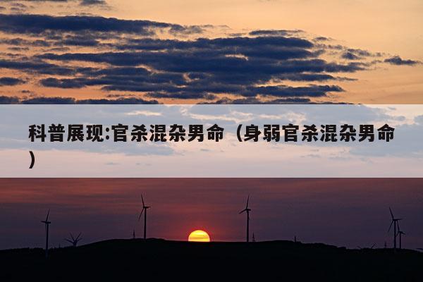 新闻中心 第7页