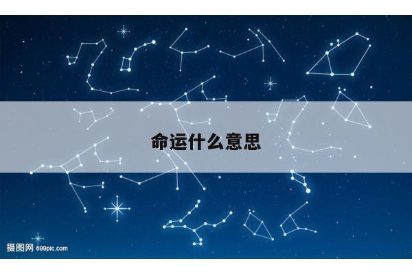 命运什么意思