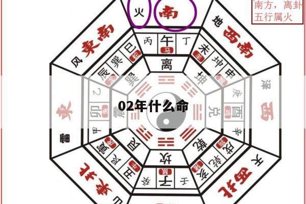 02年什么命