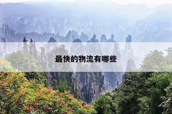 最快的物流有哪些