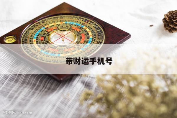 带财运手机号