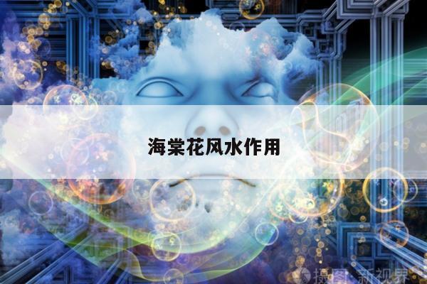 海棠花风水作用