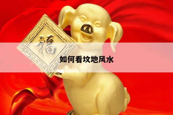 如何看坟地风水