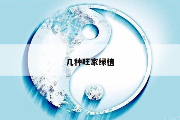 几种旺家绿植