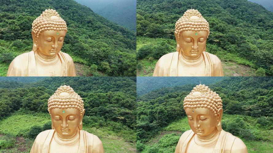澳门正版金光佛资料,金光佛澳门免费公开资料