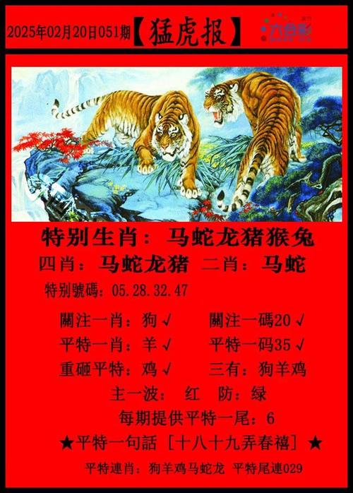 澳门今晚特马开什么号证明,澳门今晚特马开什么号证明太