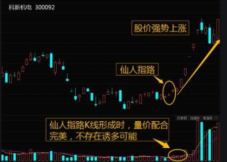 仙人指路澳门资料全网最准,仙人指路香港精准论坛