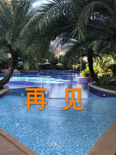 曾夫人免费资料论坛,曾夫人免费资料论坛内