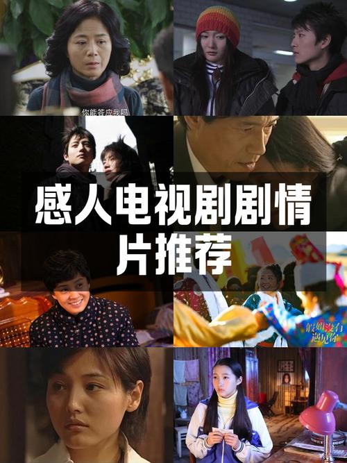 免费剧情篇在线看,免费剧情篇在线看全集
