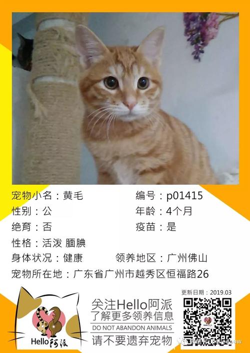 澳门特码一码,澳门特准一码中奖