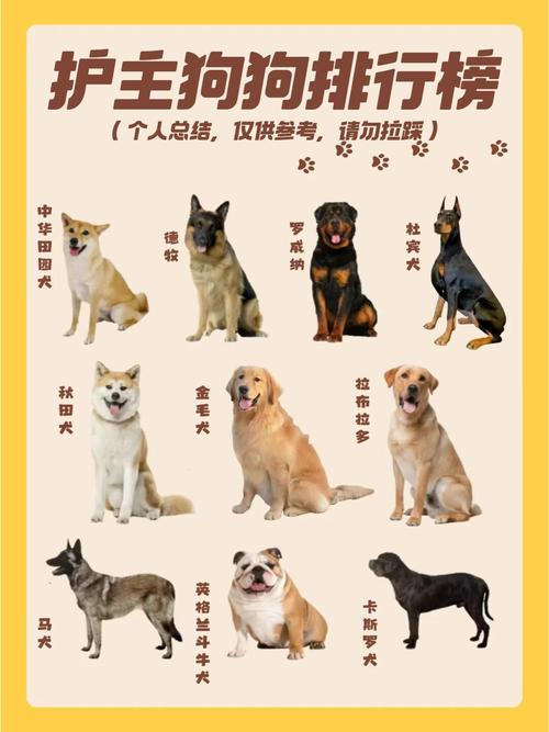 守护星星的小狗,守护星星的小狗 电影