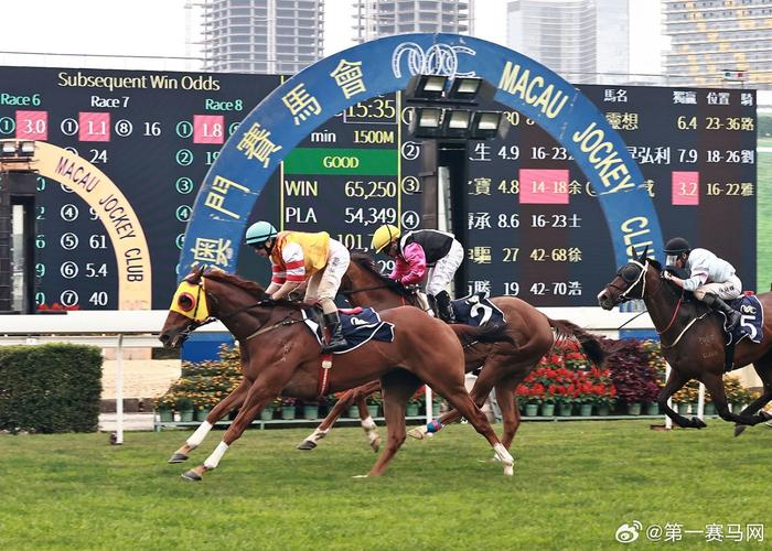 澳门正版内部传真资料大全版,澳门传真内部绝密传真资料查询
