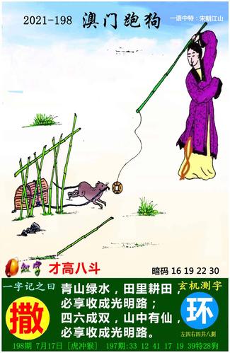 香港红姐图库彩大全彩图,红姐香港图源图库