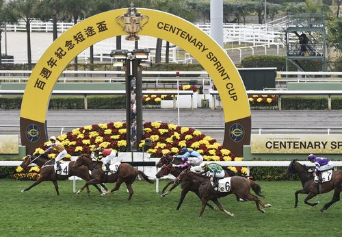 香港特马王网站,香港特马王网站有